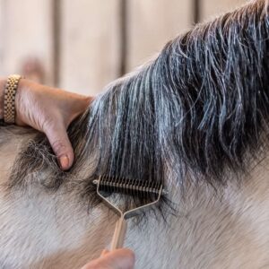 Smart Mane Thinners
