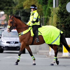 Reflective & Flashing Horse Wear