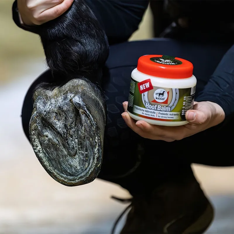Hoof Lab Hoof Balm 450ml (Leovet) - NEW Formula - Image 2