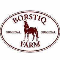 Borstiq