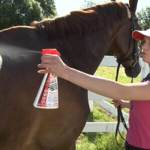 Louse and Fly Repellents