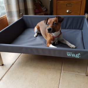 Dog Beds, Baskets & Mats