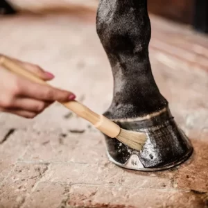 Hoof Care