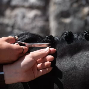 Plaiting and Scissors