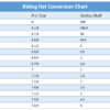 Champion Junior X-Air Plus Helmet - Image 4