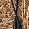 Easy Grip Padded Jump / Jumping Whip (66cm) - Image 3