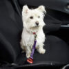 Pet Seat Belt - Image 2