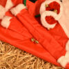 ShowQuest Christmas Dress Up - Image 4