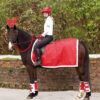 ShowQuest Christmas Dress Up