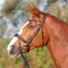 Kieffer Ultrasoft Amy Bridle - Image 2