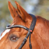 Kieffer Ultrasoft Amy Bridle - Image 4