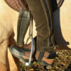 Endurance Riding Trainers - Image 2