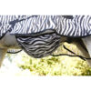Covalliero RugBe Zebra Fly Rug - Image 3