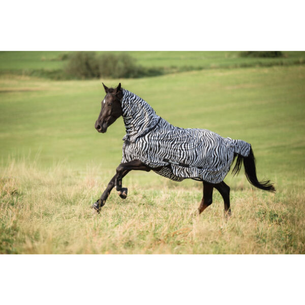 Covalliero RugBe Zebra Fly Rug - Image 2
