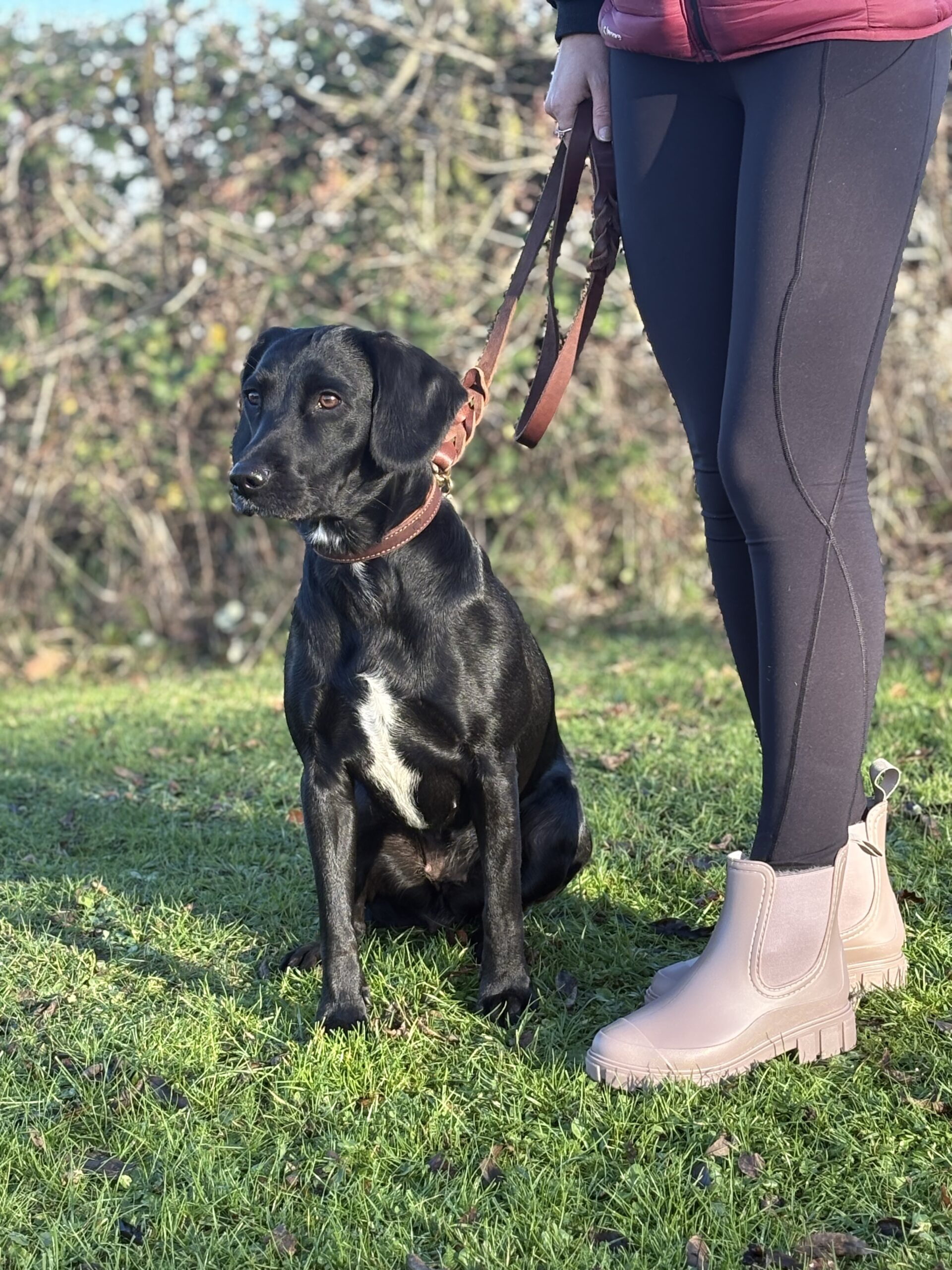 Taurus "Dewstep" Rubber Boot - Image 13