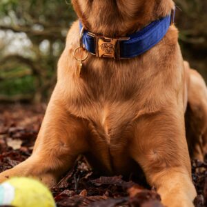 Titan K9®- The Soho Collar & Lead Collection