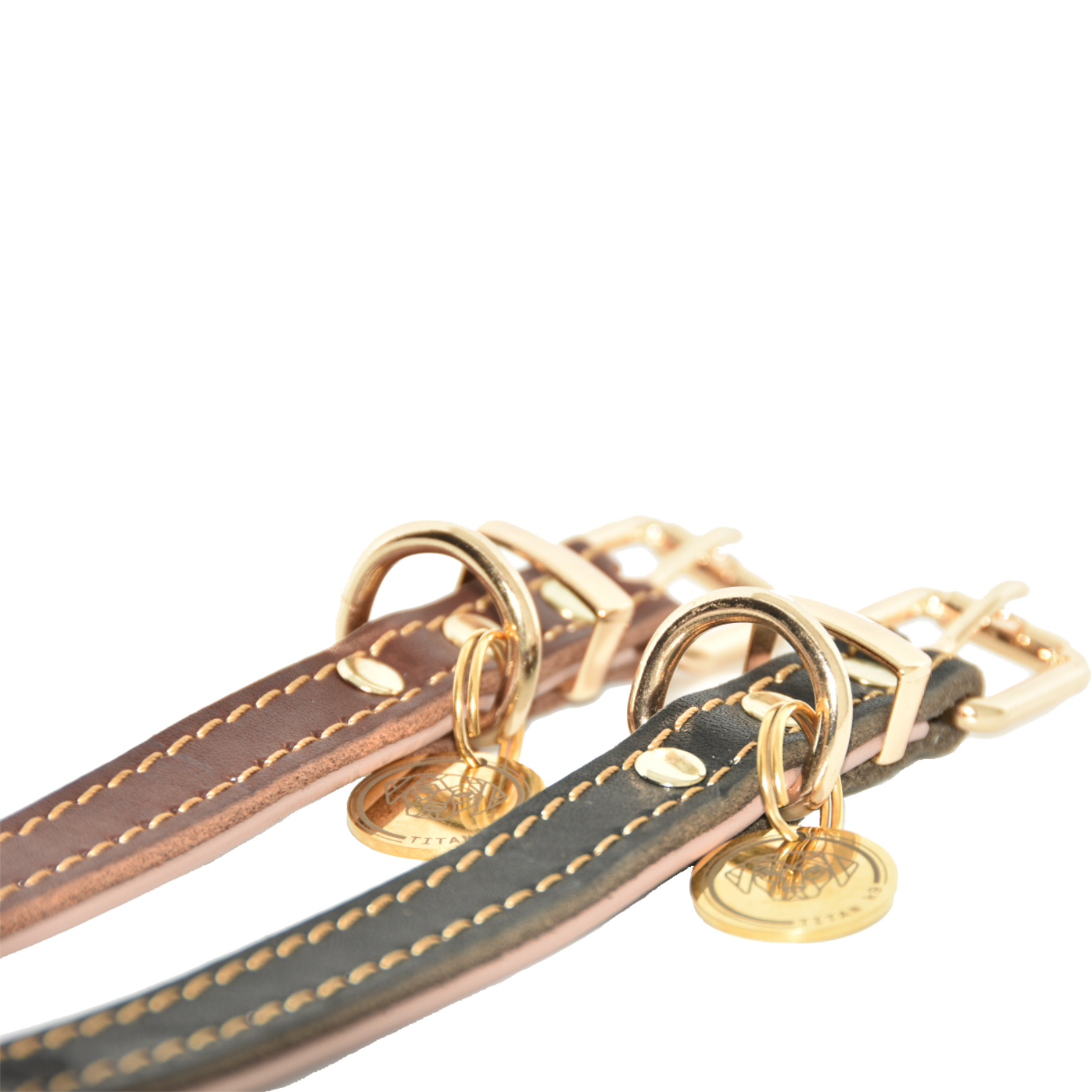 Titan K9® - The Norfolk Collar - Image 2