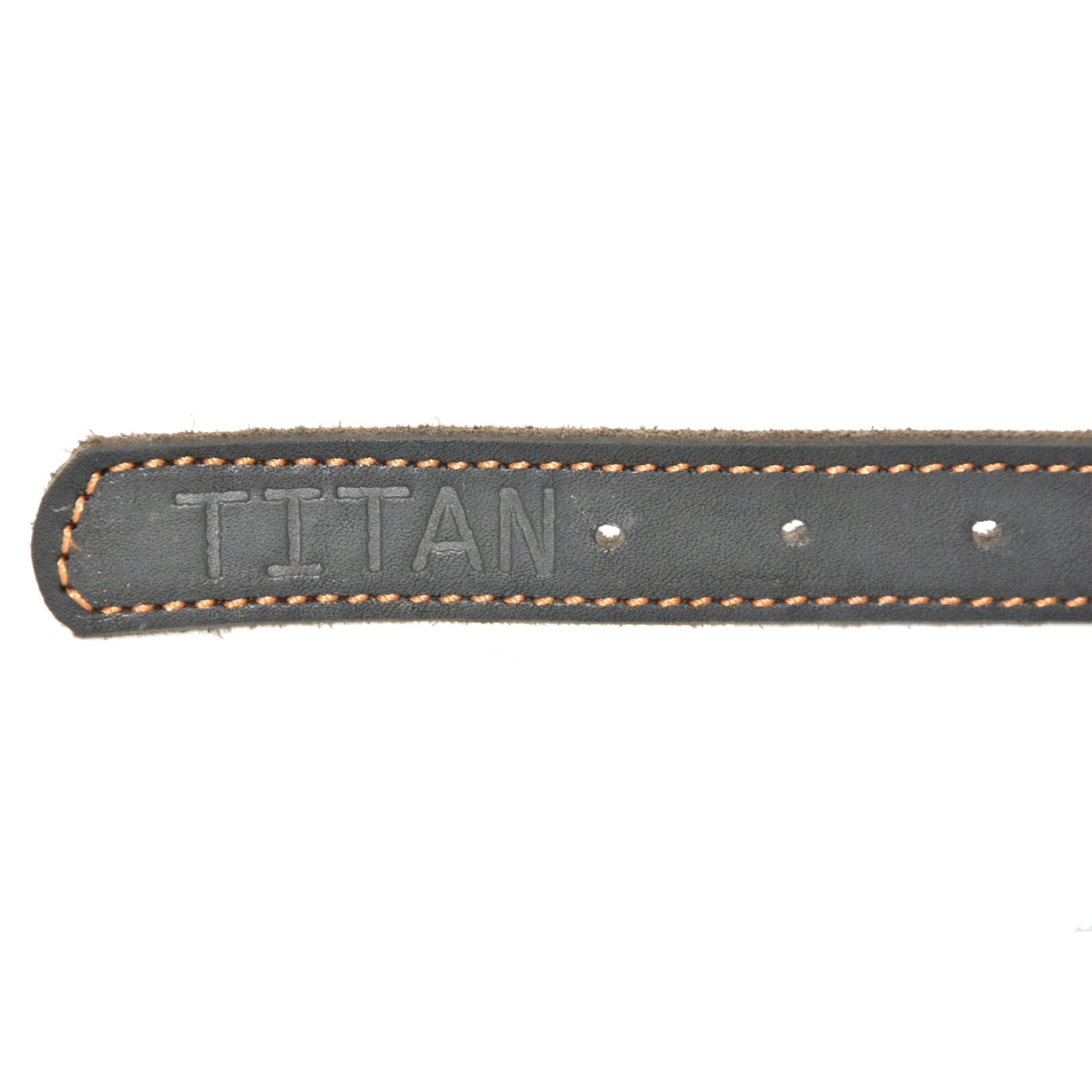 Titan K9® - The Norfolk Collar - Image 4