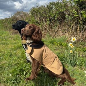 Dog Coats