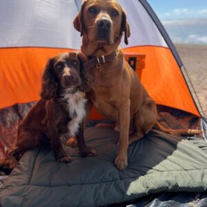 Titan K9® - The Trail Rest - Pre Order
