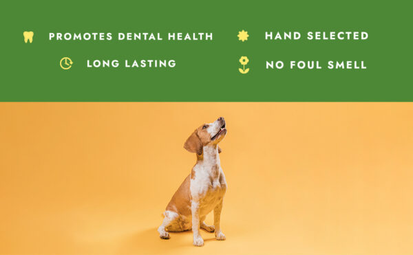 William Hunter® - Genuine Himalayan Yak Chews - Image 3