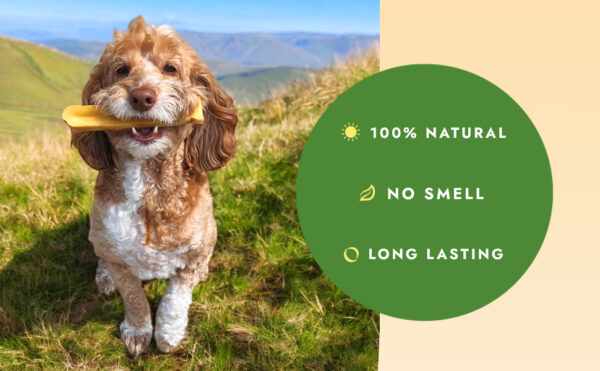 William Hunter® - Genuine Himalayan Yak Chews - Image 5