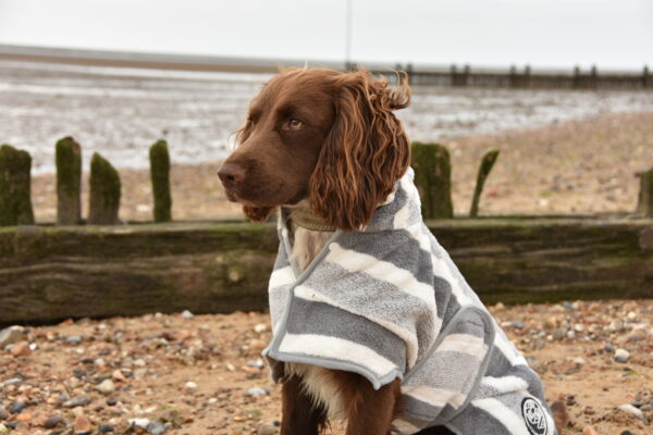Titan K9®- The Drying Robe - Pre Order - Image 3