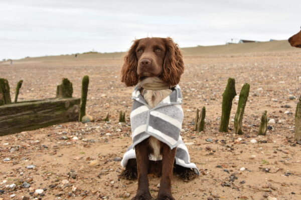 Titan K9®- The Drying Robe - Pre Order - Image 2