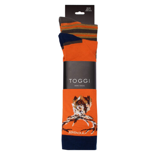 Toggi Mens Socks - Gilman - Pk/2 - Image 2