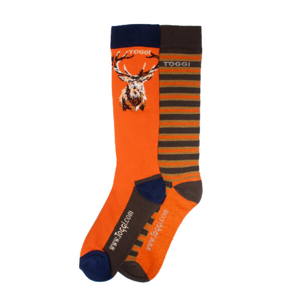 Toggi Mens Socks - Gilman - Pk/2