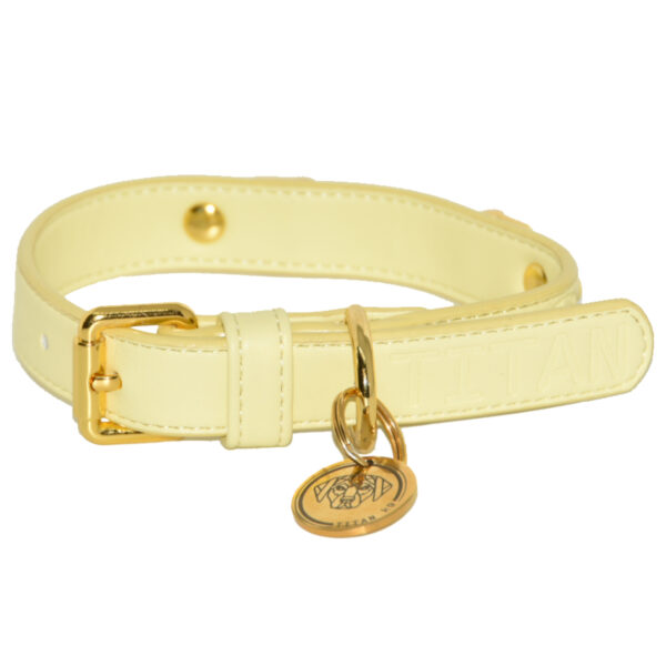 Titan K9®- The Holkham Collar- Pre Order - Image 3