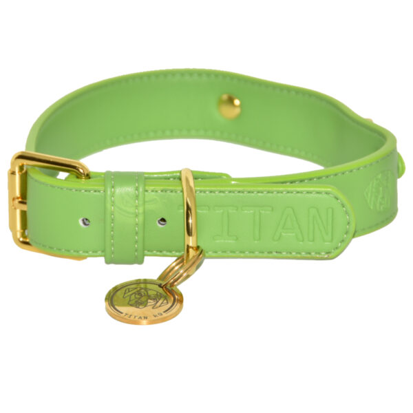 Titan K9®- The Holkham Collar- Pre Order - Image 4