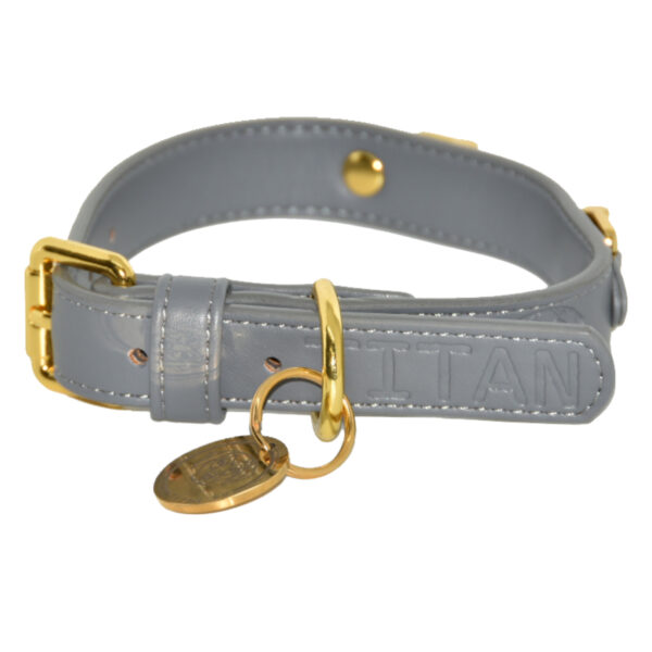 Titan K9®- The Holkham Collar- Pre Order - Image 5