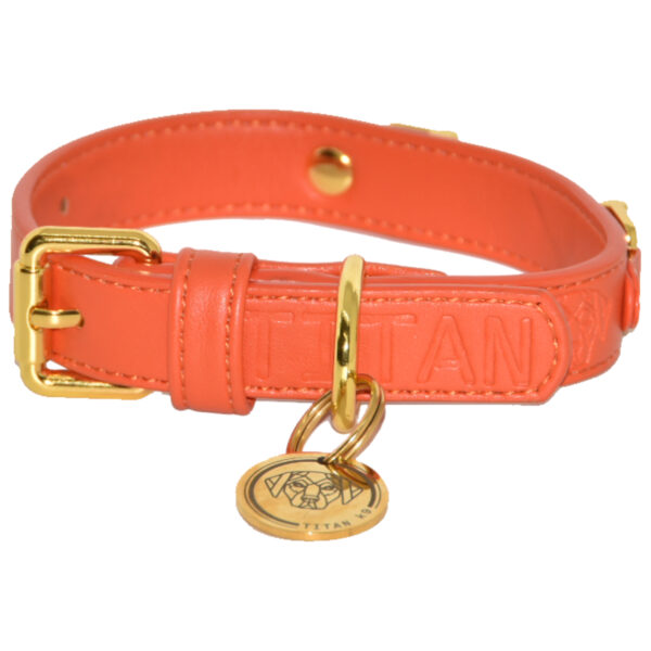 Titan K9®- The Holkham Collar- Pre Order - Image 6