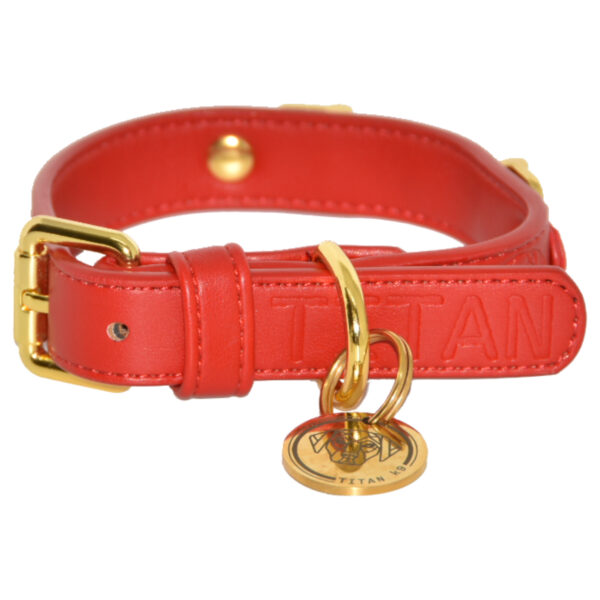 Titan K9®- The Holkham Collar- Pre Order - Image 7