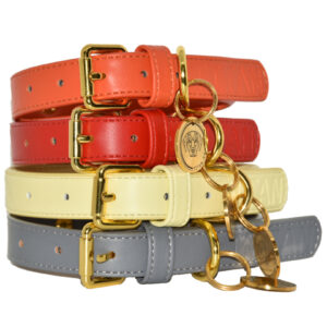 Titan K9®- The Holkham Collar- Pre Order