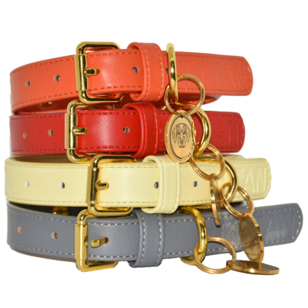 Titan K9®- The Holkham Collar- Pre Order