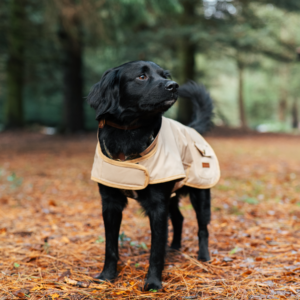 Titan K9® - The Hunter Field Coat