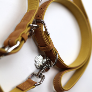 Titan K9® - The Blakeney Lead