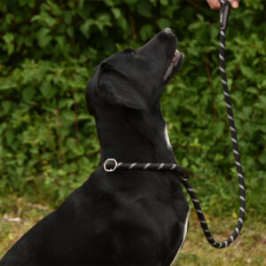 Titan K9® - The Everyday Slip Lead