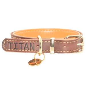 Titan K9® – The Norfolk Collar -  Imperfect Seconds
