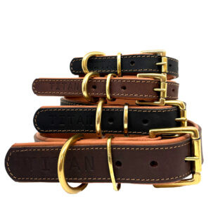 Titan K9® – The Norfolk Collar