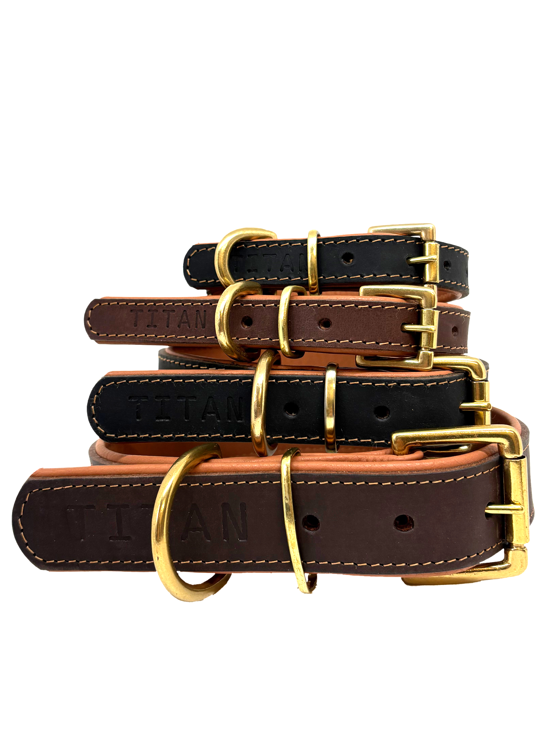 Titan K9® – The Norfolk Collar