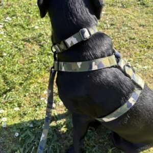 Titan K9®- The Soho Collar & Lead - Spring/Summer Collection