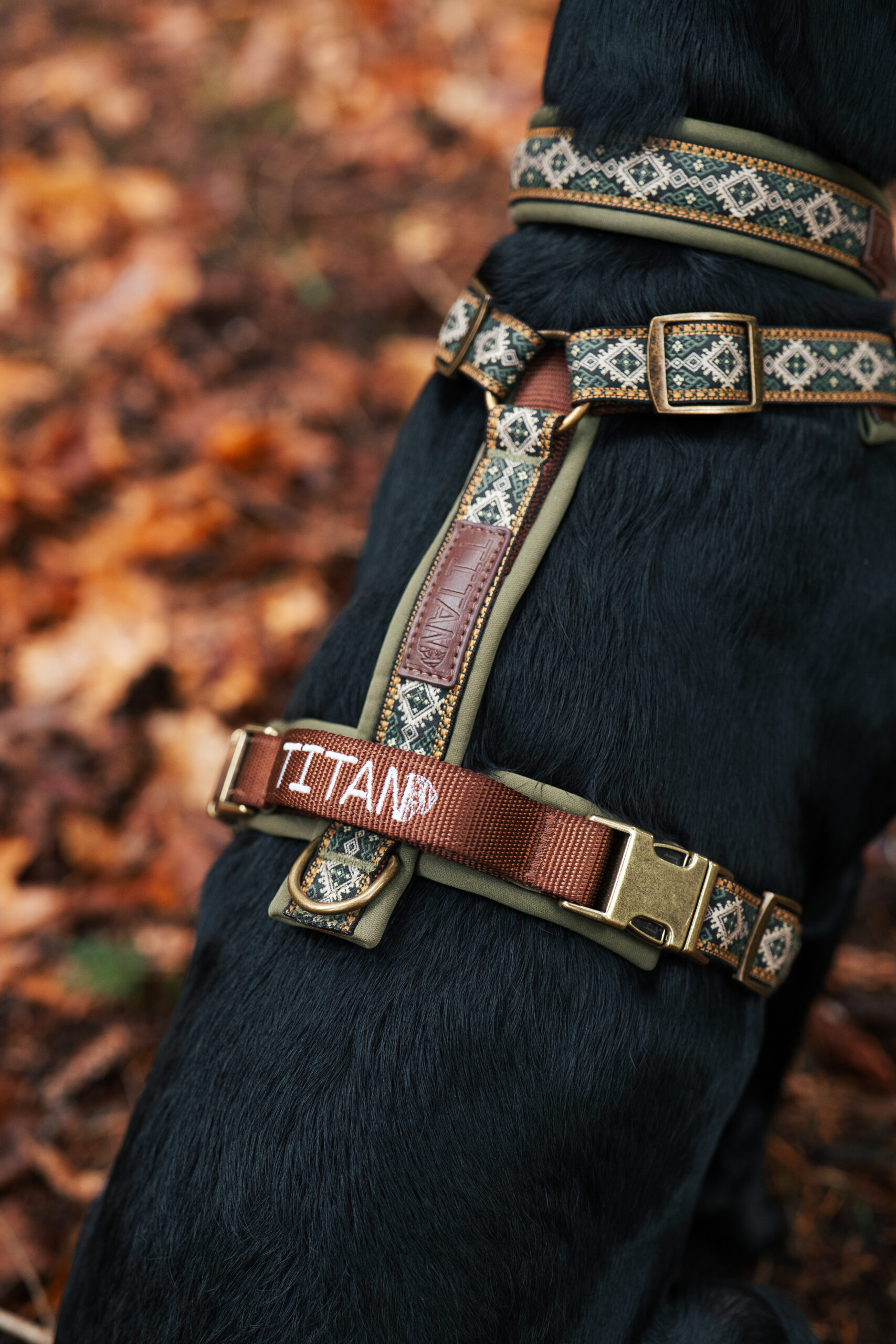 Titan K9® - The Alpine Collection Set - Image 2