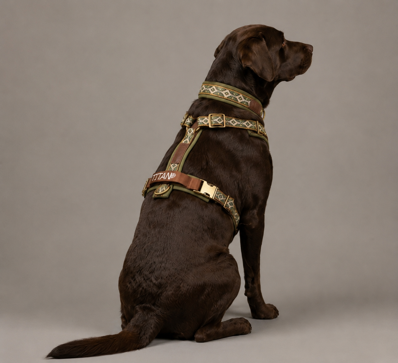Titan K9® - The Alpine Collection Set