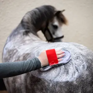 Shampoos & Coat Care